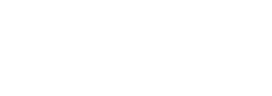 Logo MORE